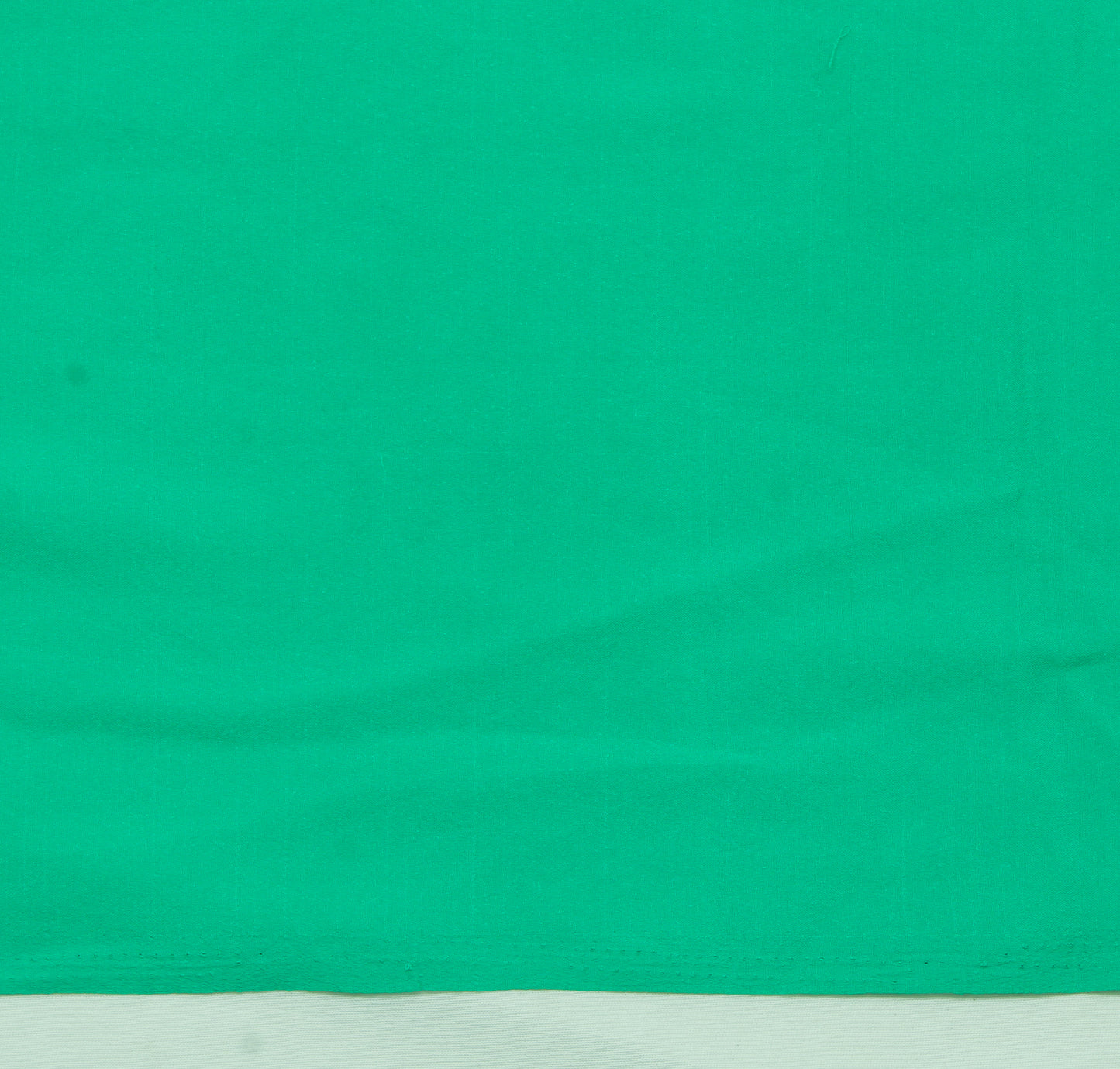 Sushila Vintage Green Sari Remnant Scrap Blend Silk Embroidered Craft Fabric