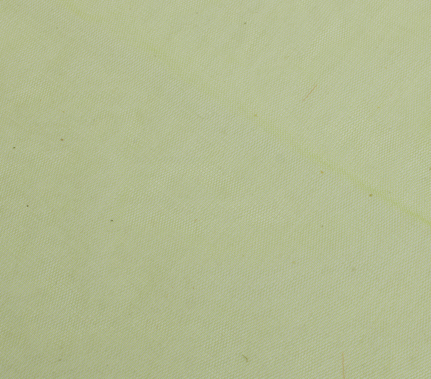 Sushila Vintage Lemon Green Indian Sari Remnant Scrap Net Mesh Craft Fabric