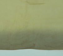 Sushila Vintage Green Indian Sari Remnant Scrap Pure Georgette Silk Craft Fabric