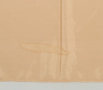 Sushila Vintage Indian Beige Saree Remnant Scrap Blend Silk Craft Fabric