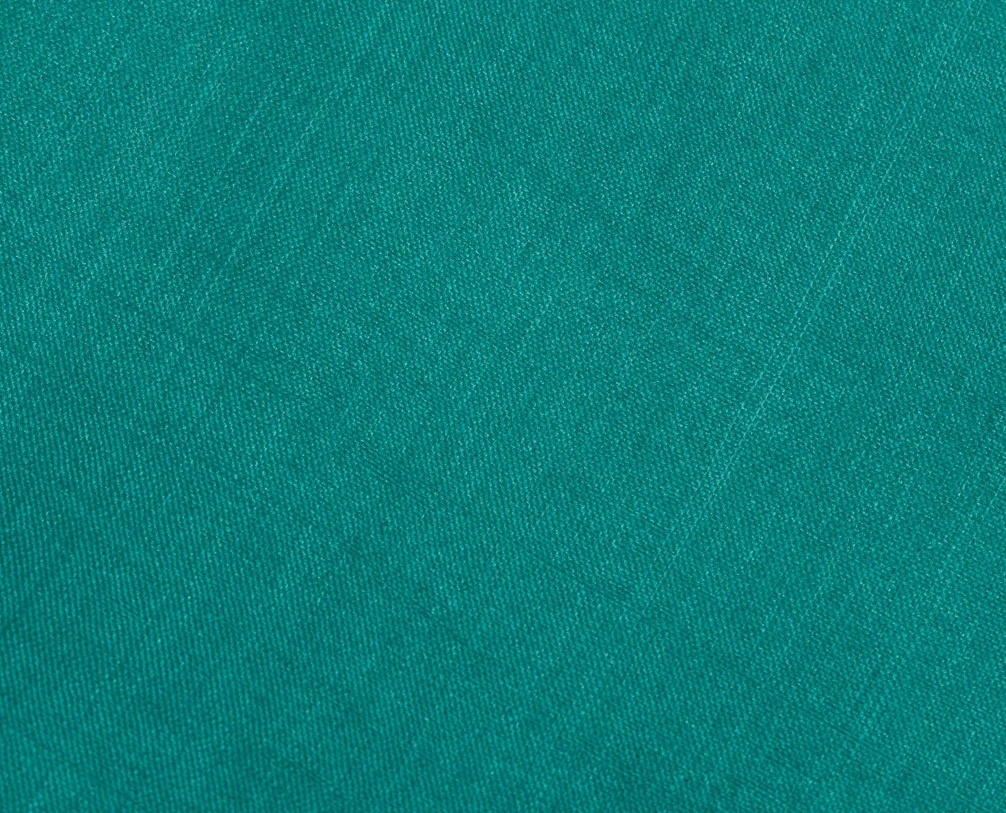 Sushila Vintage Indian Green Sari Remnant Scrap 100% Pure Silk Craft Fabric