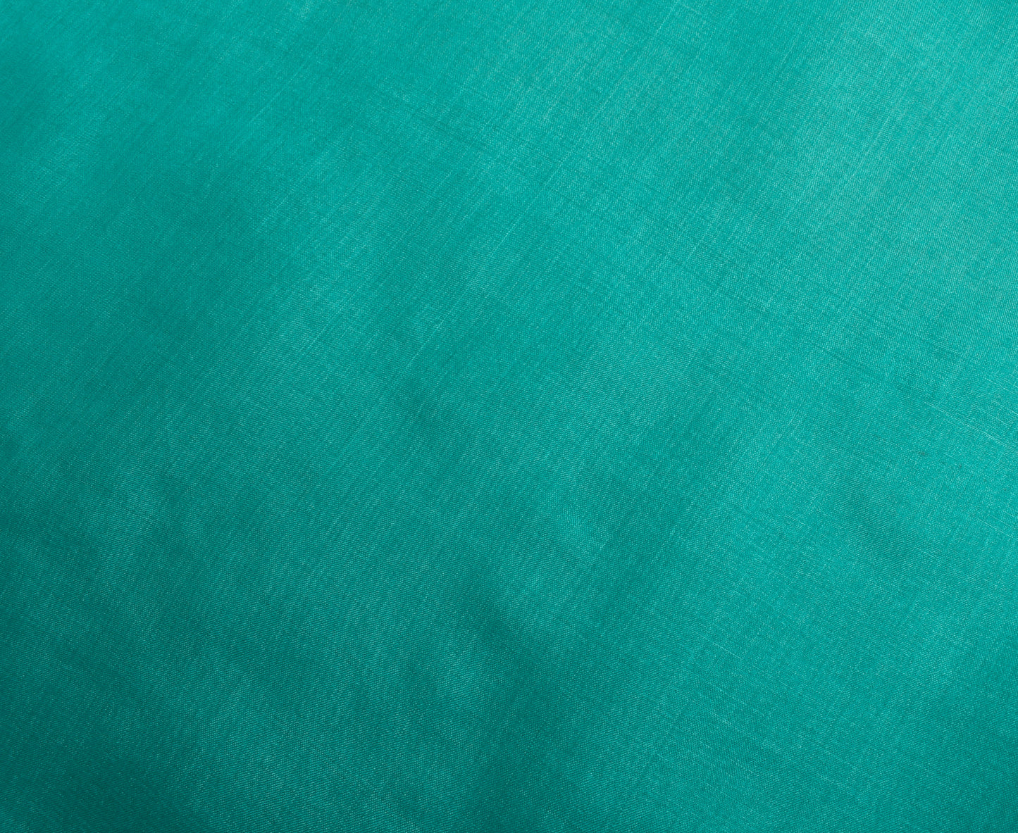 Sushila Vintage Indian Green Sari Remnant Scrap 100% Pure Silk Craft Fabric