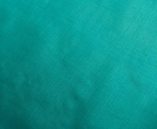 Sushila Vintage Indian Green Sari Remnant Scrap 100% Pure Silk Craft Fabric