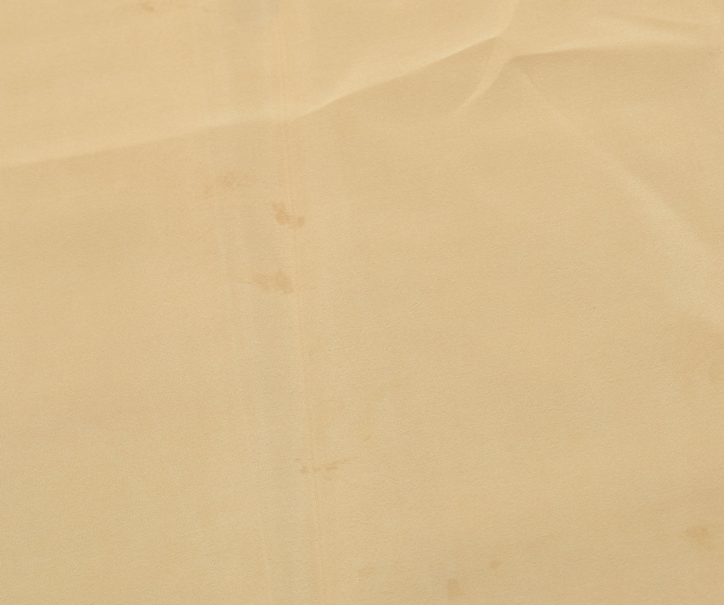 Sushila Vintage Beige Art Silk Sari Remnant Scrap Hand Beaded Soft Craft Fabric