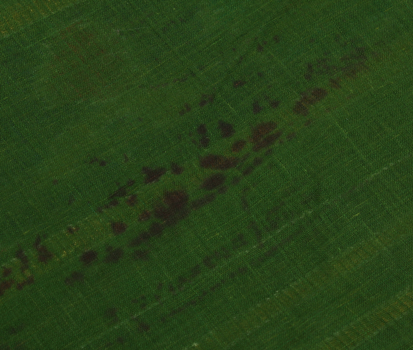 Sushila Vintage Green Saree Pure Cotton Hand Woven Ikat Patola Sari Craft Fabric