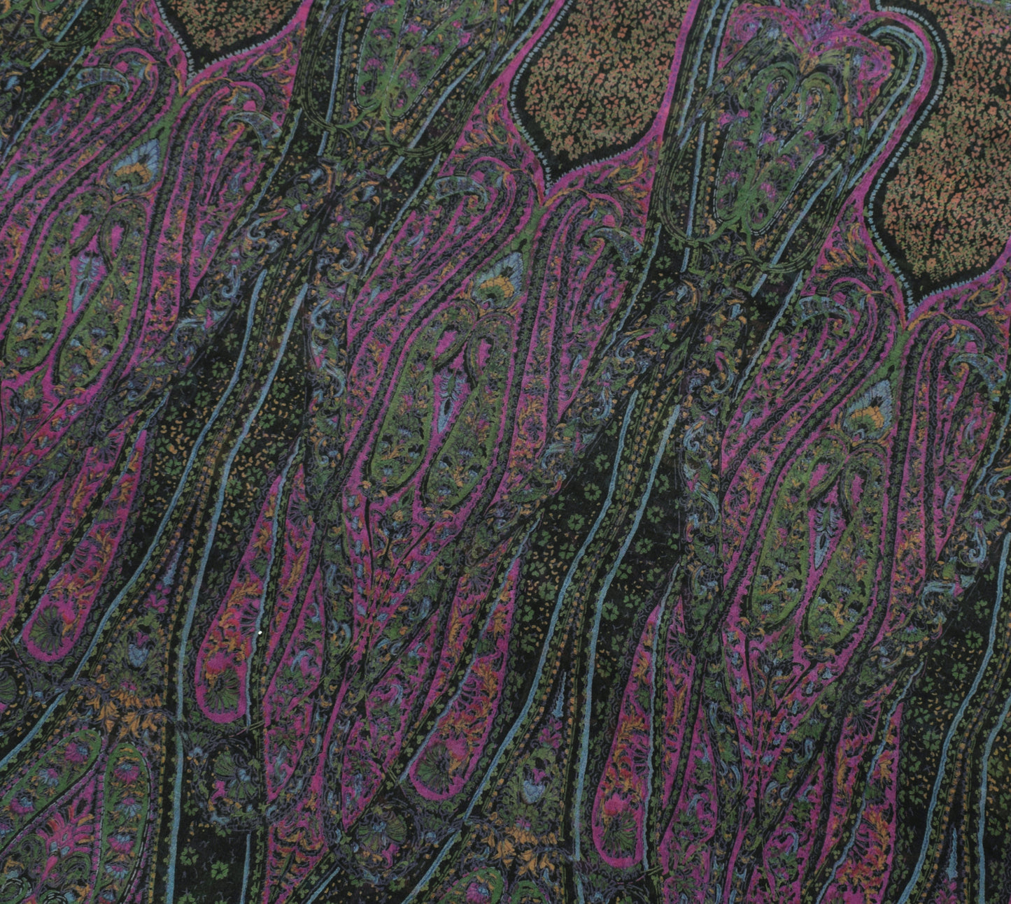 Sushila Vintage Black Saree 100% Pure Georgette Silk Printed Birds Craft Fabric