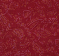 Sushila Vintage Red Saree 100% Pure Silk Printed Paisley Indian Craft Fabric