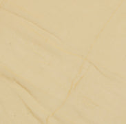 Sushila Vintage Cream Dupatta 100% Pure Chiffon Silk Embroidered Long Stole Veil